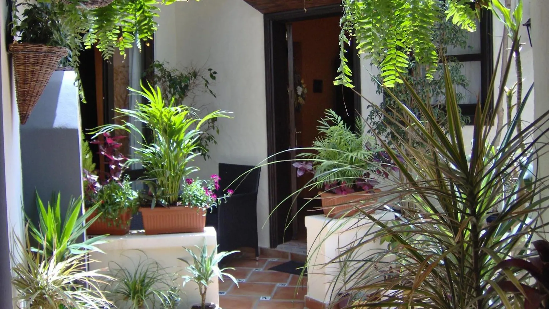 Mediterranean Holiday Home With Small Patio-Terrace Icod De Los Vinos Apartment