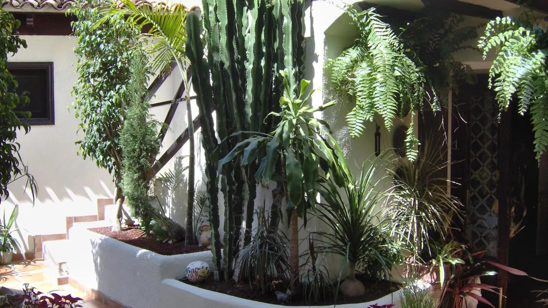 Mediterranean Holiday Home With Small Patio-Terrace Icod De Los Vinos Spain