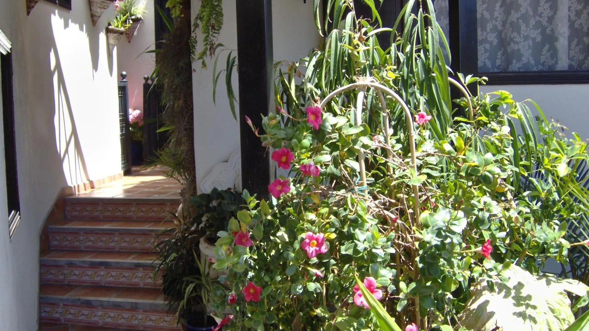 Apartment Mediterranean Holiday Home With Small Patio-Terrace Icod De Los Vinos