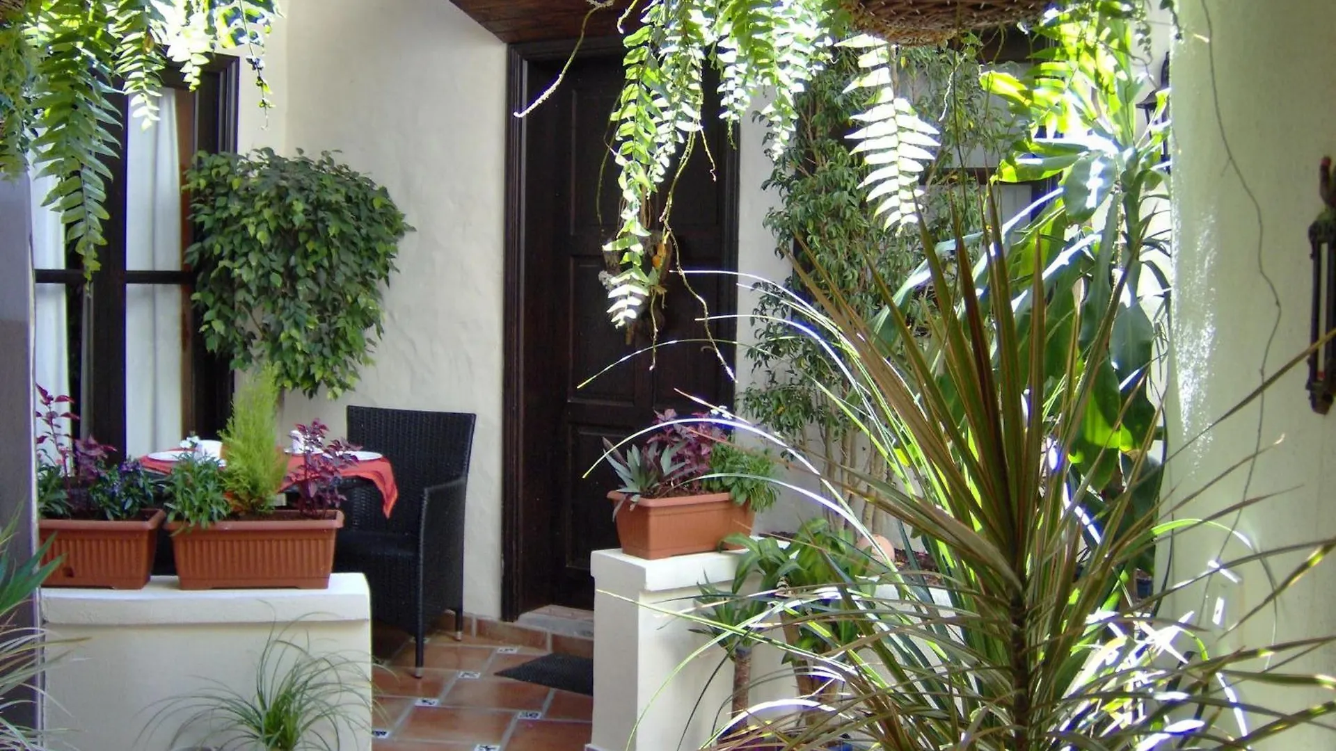 Mediterranean Holiday Home With Small Patio-Terrace Icod De Los Vinos