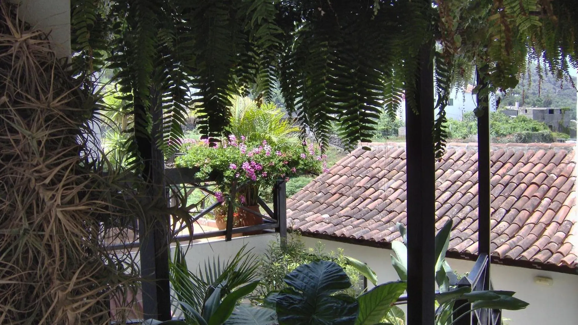 Mediterranean Holiday Home With Small Patio-Terrace Icod De Los Vinos Apartment